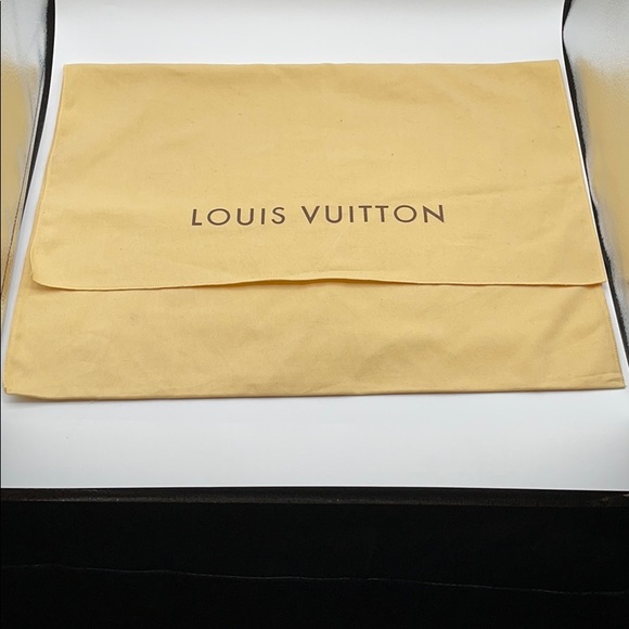 Authentic Louis Vuitton Reporter PM Crossbody Bag - Picture 13 of 13